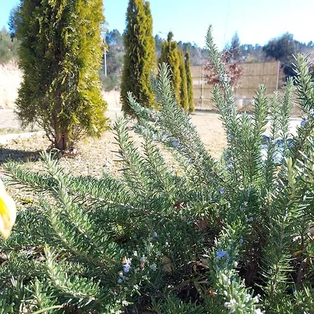 Casa Dos Remendos - Local Termas de São Pedro do Sul