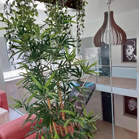 Casa Dos Remendos - Local Alojamento de Acomodação e Pequeno-almoço Termas de São Pedro do Sul